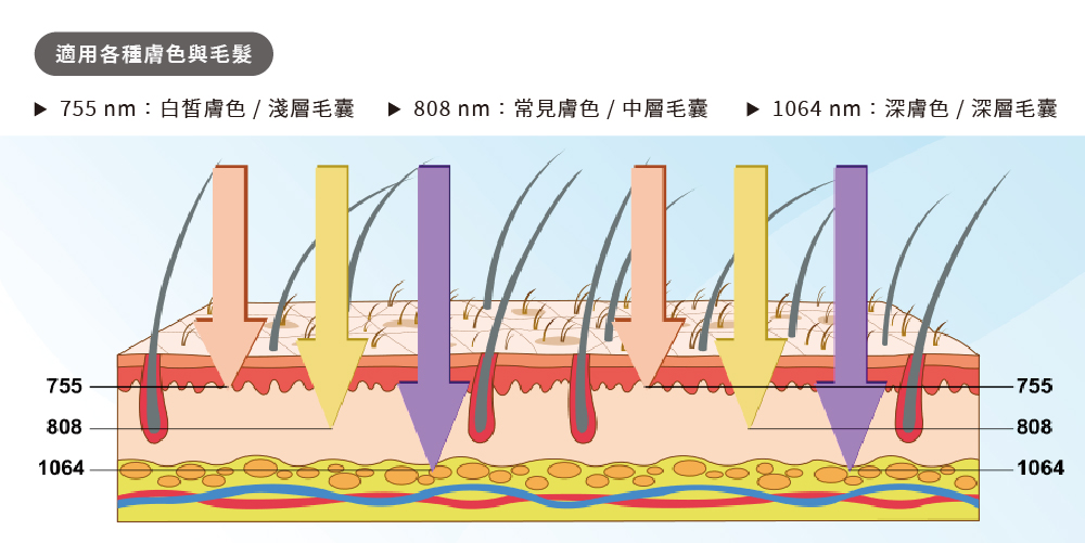 工作區域 1